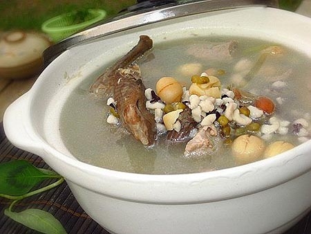 Chim cu hầm kỳ tử hoàng tinh