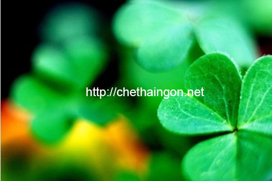Tăng kích thước vòng 1 bằng cỏ 3 lá