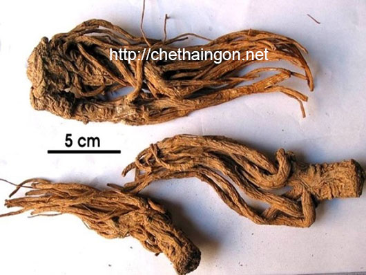Tăng kích thước vòng 1 bằng đương quy