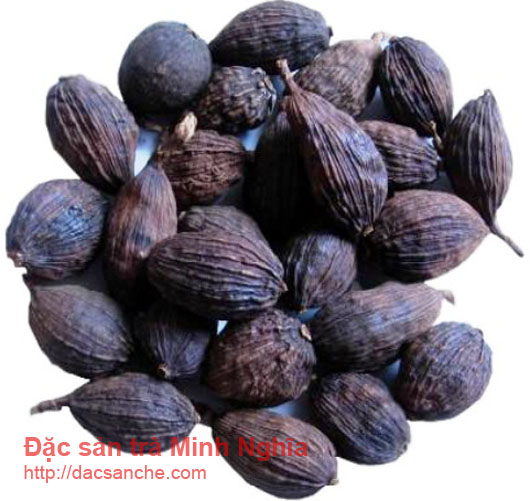 Quả thảo quả
