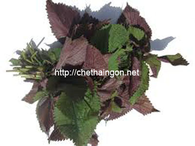 Tía tô chữa ngạt mũi