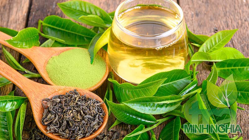 10 lợi ích dựa trên bằng chứng của trà xanh