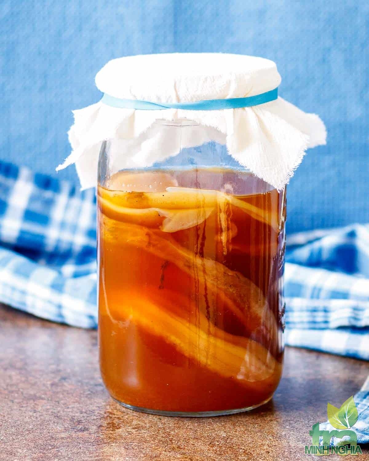 Bảo quản và nuôi SCOBY khi chưa sử dụng luôn