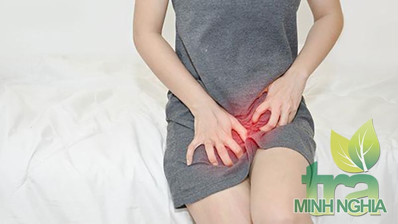 Trà ướp sen có tác dụng ngăn chặn các bệnh ở vùng kín