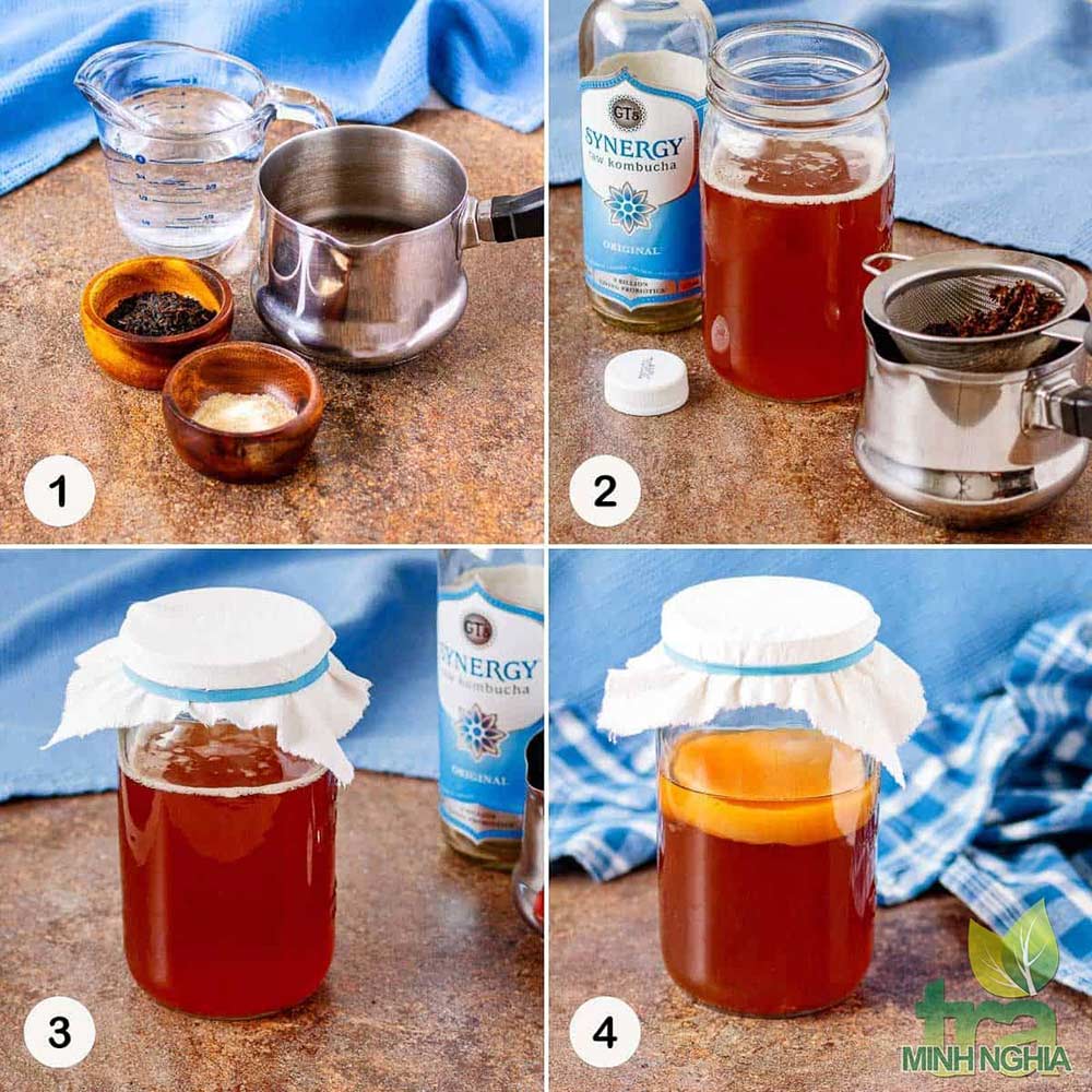 4 bước tiến hành để tạo ra SCOBY