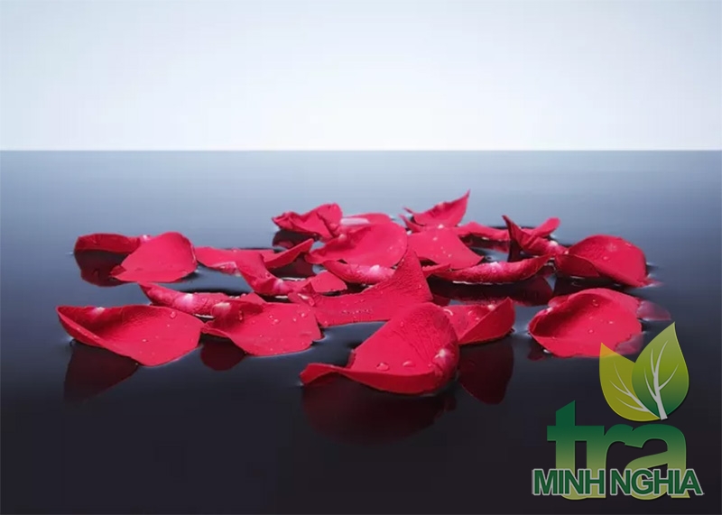Cách làm nước hoa hồng và tinh dầu hoa hồng tự chế