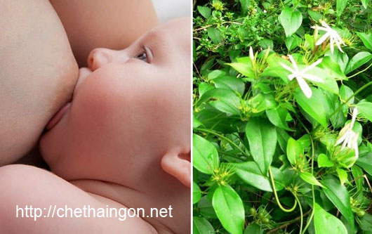 Chè vằng thức uống tốt cho sản phụ