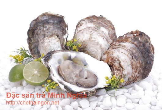 Chữa đau dạ dày với bài thuốc từ vỏ con hàu