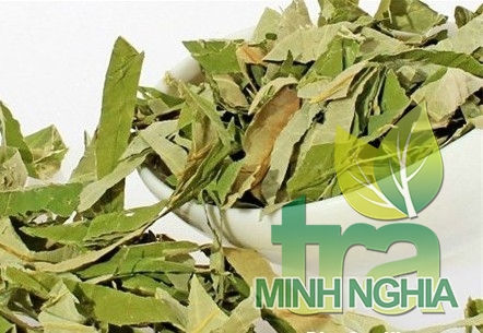 Sừ dụng Trà Lá Sen có tác dụng gì đối với sức khỏe?