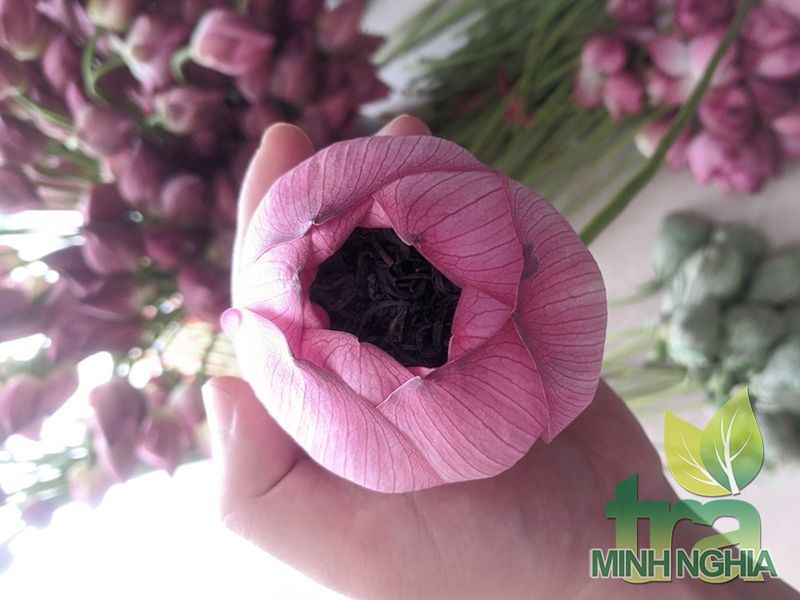 Công dụng tuyệt vời của trà ướp bông sen mà bạn chưa biết