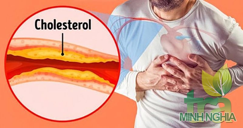 Trà ướp sen có tác dụng giảm cholesterol