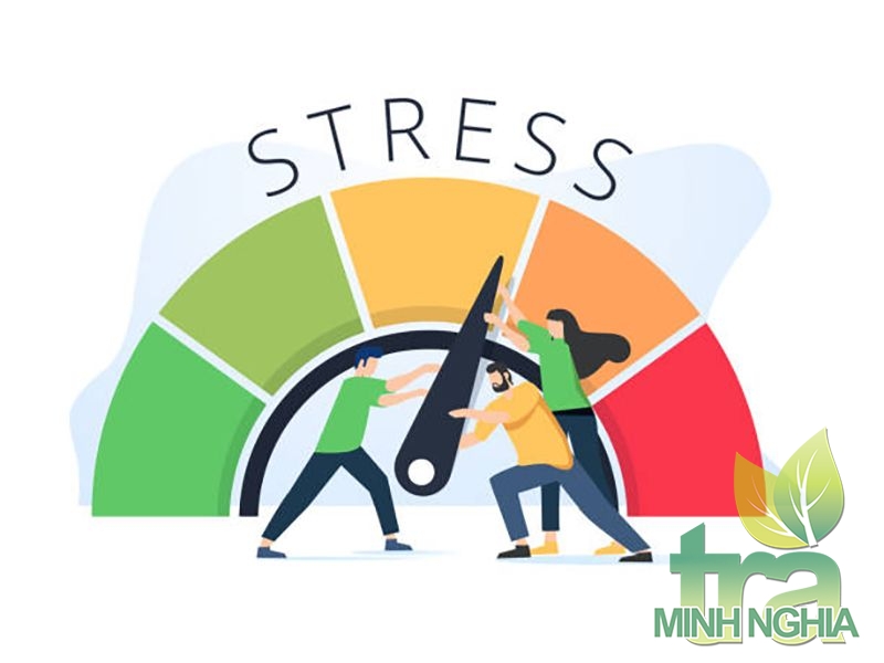 Trà ướp sen có tác dụng giảm căng thẳng, stress