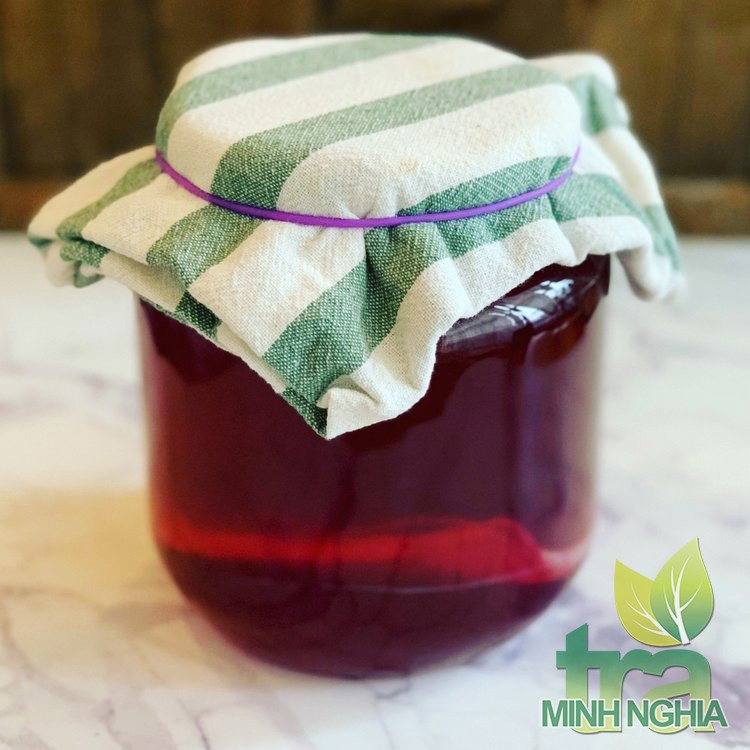 ủ Kombucha trong bình thủy tinh để lên men