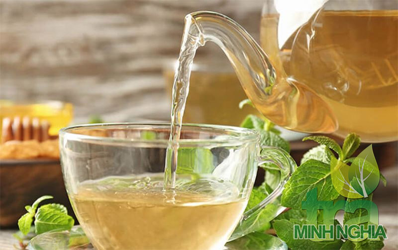 hướng dẫn pha trà húng chanh