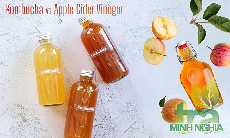 Tìm hiểu về sự khác biệt giữa kombucha và giấm táo 