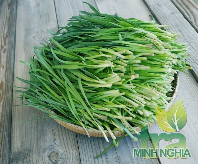 Trị ho hiệu quả cho bé bằng lá hẹ và đường phèn