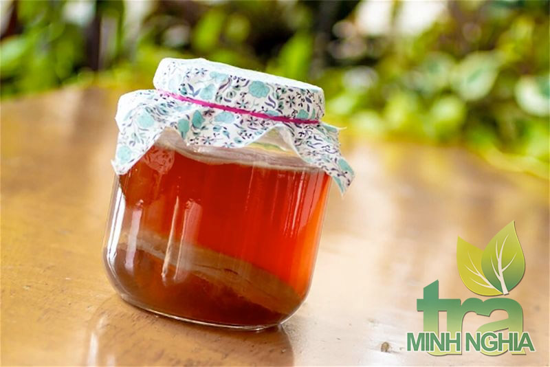 hướng dẫn cách pha Kombucha trà đen