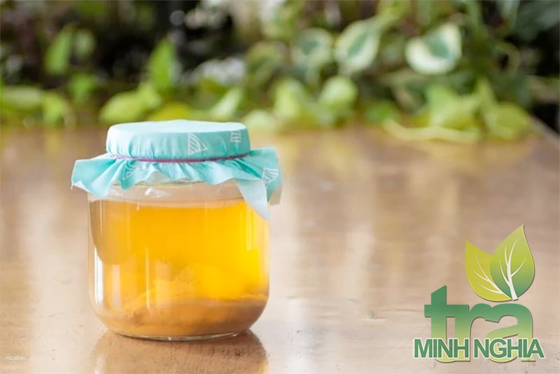 hướng dẫn cách làm kombucha trà xanh