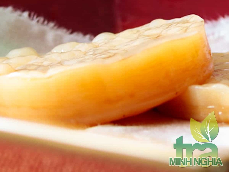 Một miếng SCOBY được làm từ nguyên liệu thô, hữu cơ