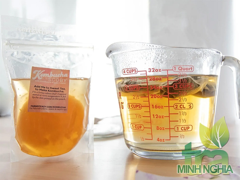 Một số mẹo trong quá trình lên men Kombucha