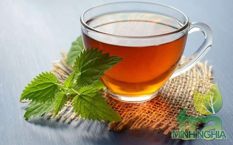 Dùng trà cây du trơn để chữa trào ngược dạ dày