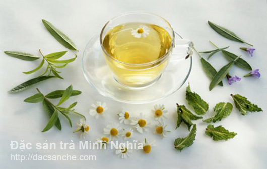 Pha trà thảo dược hoa cúc, cỏ ngọt