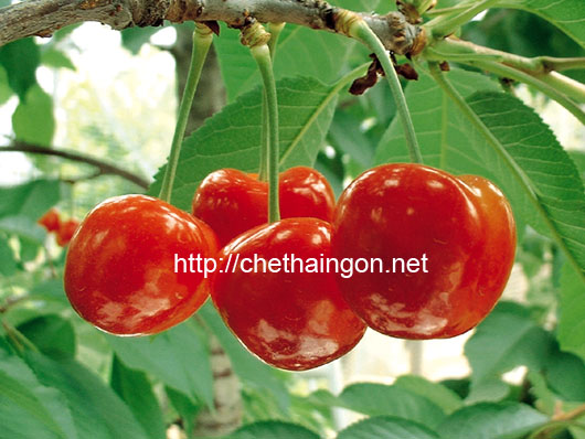 Sử dụng quả Anh Đào phòng bệnh tim mạch và đau đầu