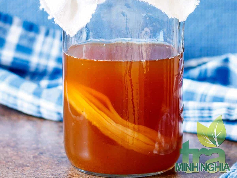 Hình anh SCOBY bị chìm xuống đáy lọ