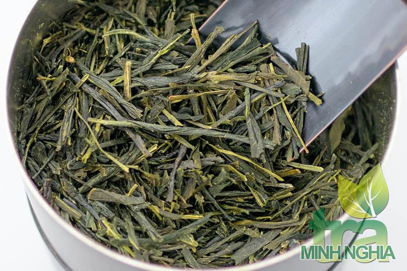 trà sencha là lọai trà xanh có nguồn gốc từ Nhật Bản