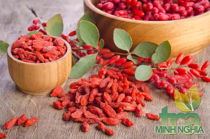 Kỷ tử có tác dụng gì? Cùng tìm hiểu những lợi ích sức khỏe mà kỷ tử mang lại