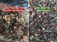 Sự khác biệt về các sản phẩm trà sơn mật hồng sâm trên thị trường