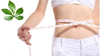 Các loại thảo mộc tự nhiên giúp giảm béo hiệu quả
