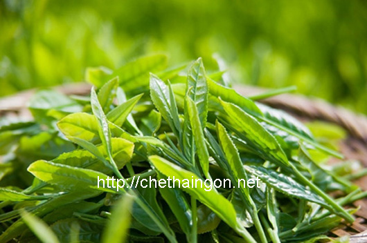 Thưởng thức chén trà Thái Nguyên làm mê mẩn lòng người