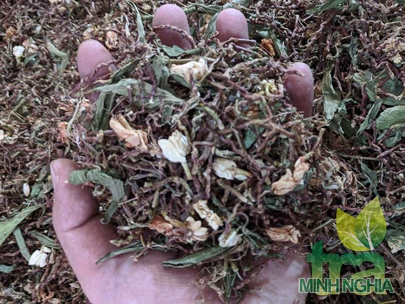 Tác dụng của trà Sơn Mật Hồng Sâm. Trà Sơn Mật Hồng Sâm có tốt cho sức khỏe không? 