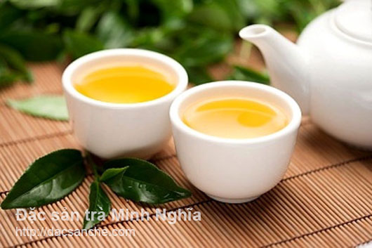Những bài thuốc từ lá chè xanh mà bạn nên biết