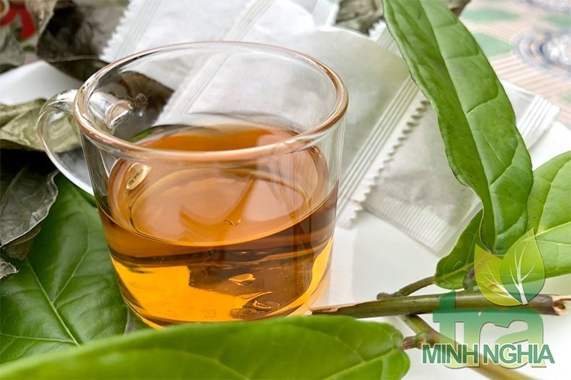 Uống nước Xạ Đen hàng ngày có tốt không? Cần chú ý những gì khi sử dụng xạ đen?