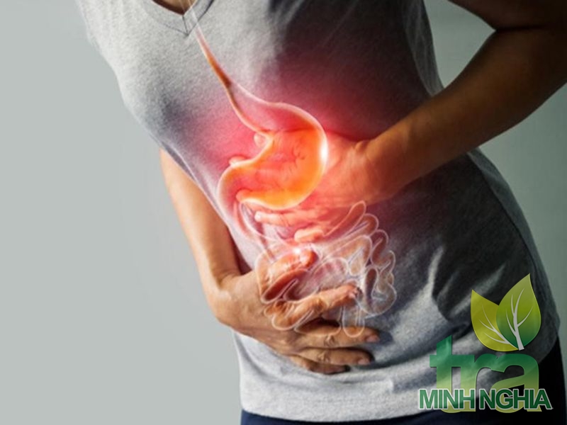 Trà ướp sen có tác dụng chống ợ chua, viêm loét dạ dày