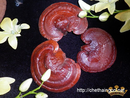 Bài thuốc đông y trị mụn nhọt