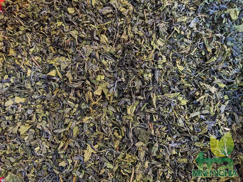 Hình ảnh chè đầu cành
