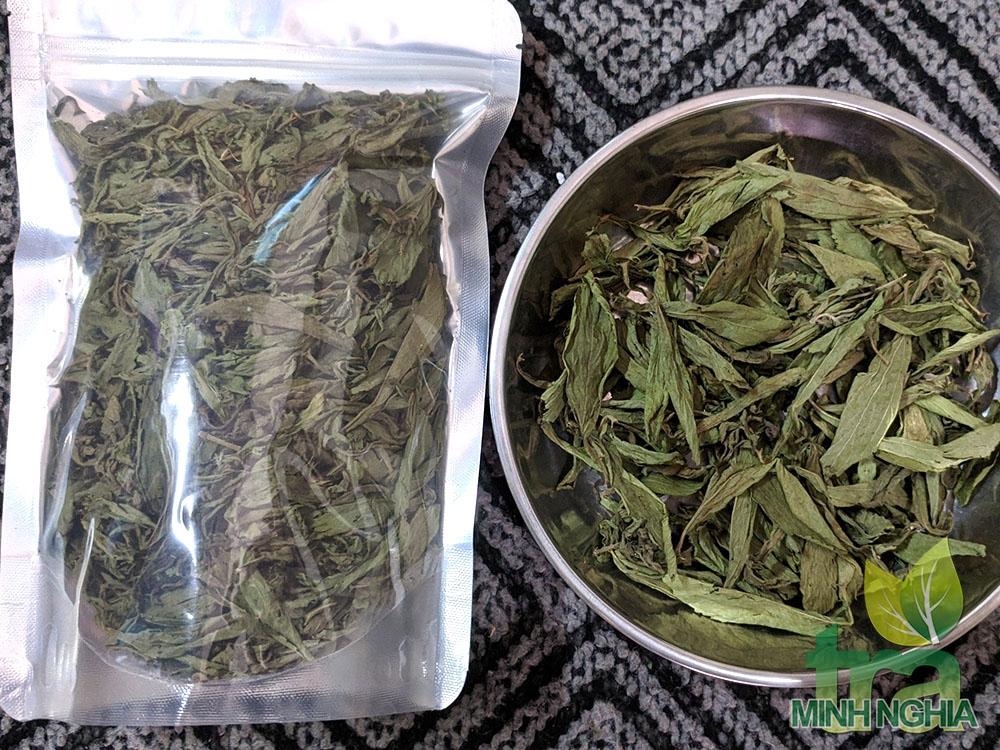 Cỏ ngọt nguyên lá loại chọn