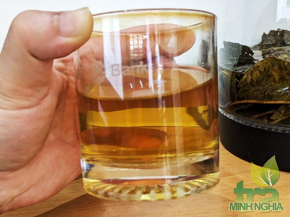 Nước pha trà lá vối có vị thơm và uống vào có vị hơi ngọt