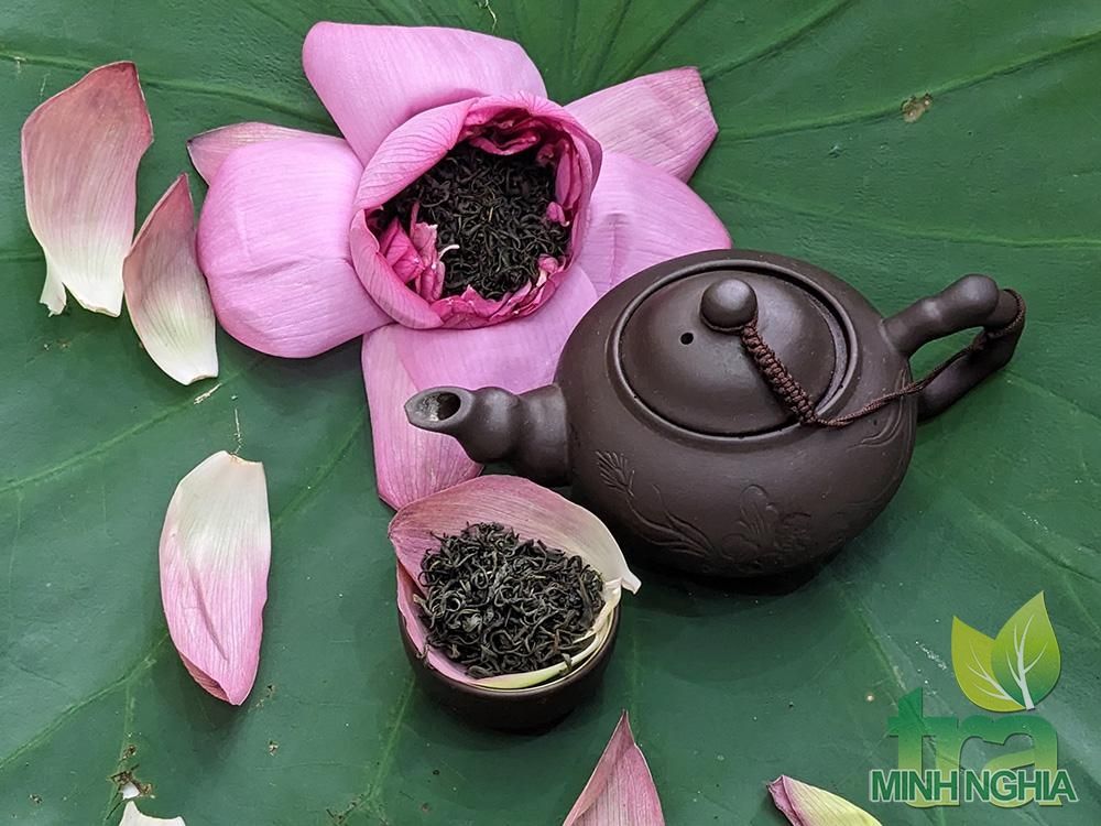 Ướp và pha trà sen Tây Hồ thượng hạng