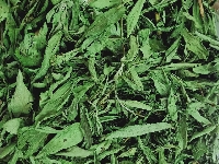 Cỏ ngọt nguyên lá sấy lạnh