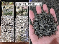 Chè Tân Cương loại đặc biệt túi 500g