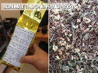 Trà Sơn Mật Hồng Sâm thượng hạng gói 200g