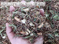 Trà Sơn Mật Hồng Sâm thượng hạng