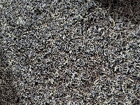 Chè Long Vân cao cấp thượng hạng