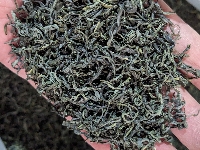 Chè Long Vân cao cấp thượng hạng