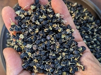 Hắc kỷ tử tây tạng