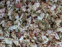 Hoa nhài khô loại 1